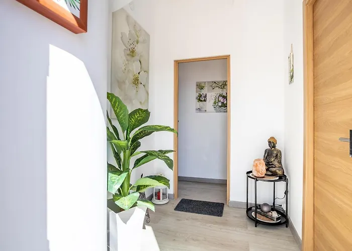 Апартаменты Medano Time Эль-Медано